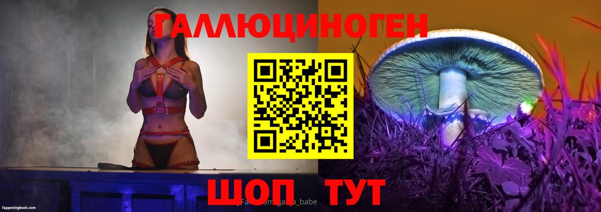 закладки  Вход с VPN  Новокуйбышевск  Псилоцибиновые грибы мухоморы 